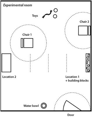 Dog-Owner Attachment Is Associated With Oxytocin Receptor Gene Polymorphisms in Both Parties. A Comparative Study on Austrian and Hungarian Border Collies